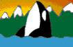 adventure tours vancouver island