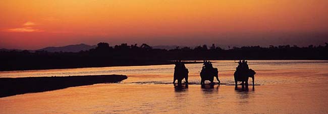Elephanting Riding, Jungle Activities in Chitwan National Park Nepal