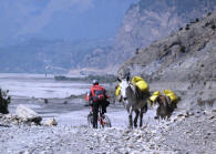 Around Annapurna & Tilicho Lakes